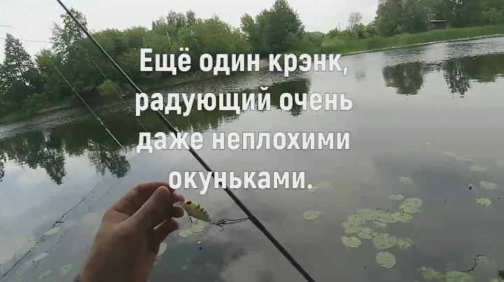Июльский Топ 5 минивоблеров