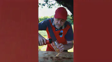 Волковская пивоварня ЗАЧЕМ ВЫ ЭТО СВАРИЛИ ? томатное гозе  #пивнойобзор  #доброслав13 #пиво #beer