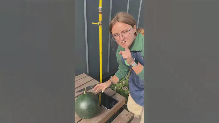 Самый надежный сорт арбуза!